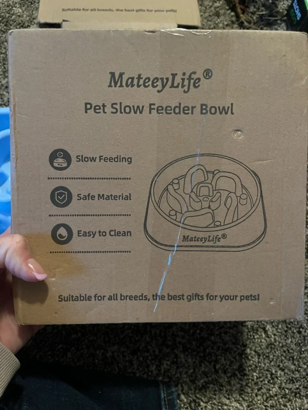 Set of 2 slow feeder dog bowls